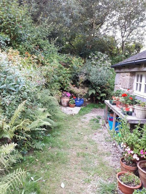 Borea Barn Vegetarian B&B St Ives Εξωτερικό φωτογραφία